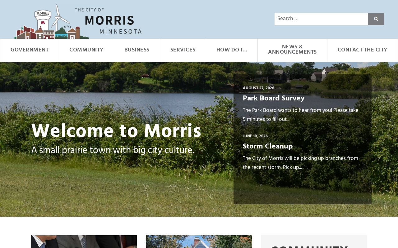 Morris court records city government portal